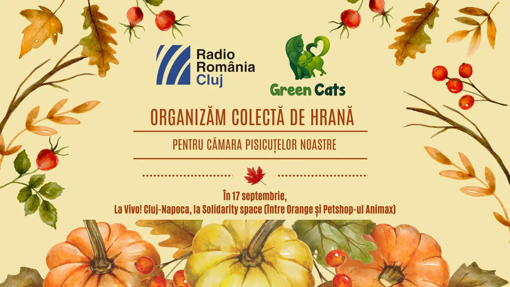 Colectă de hrană pentru pisicile Green Cats