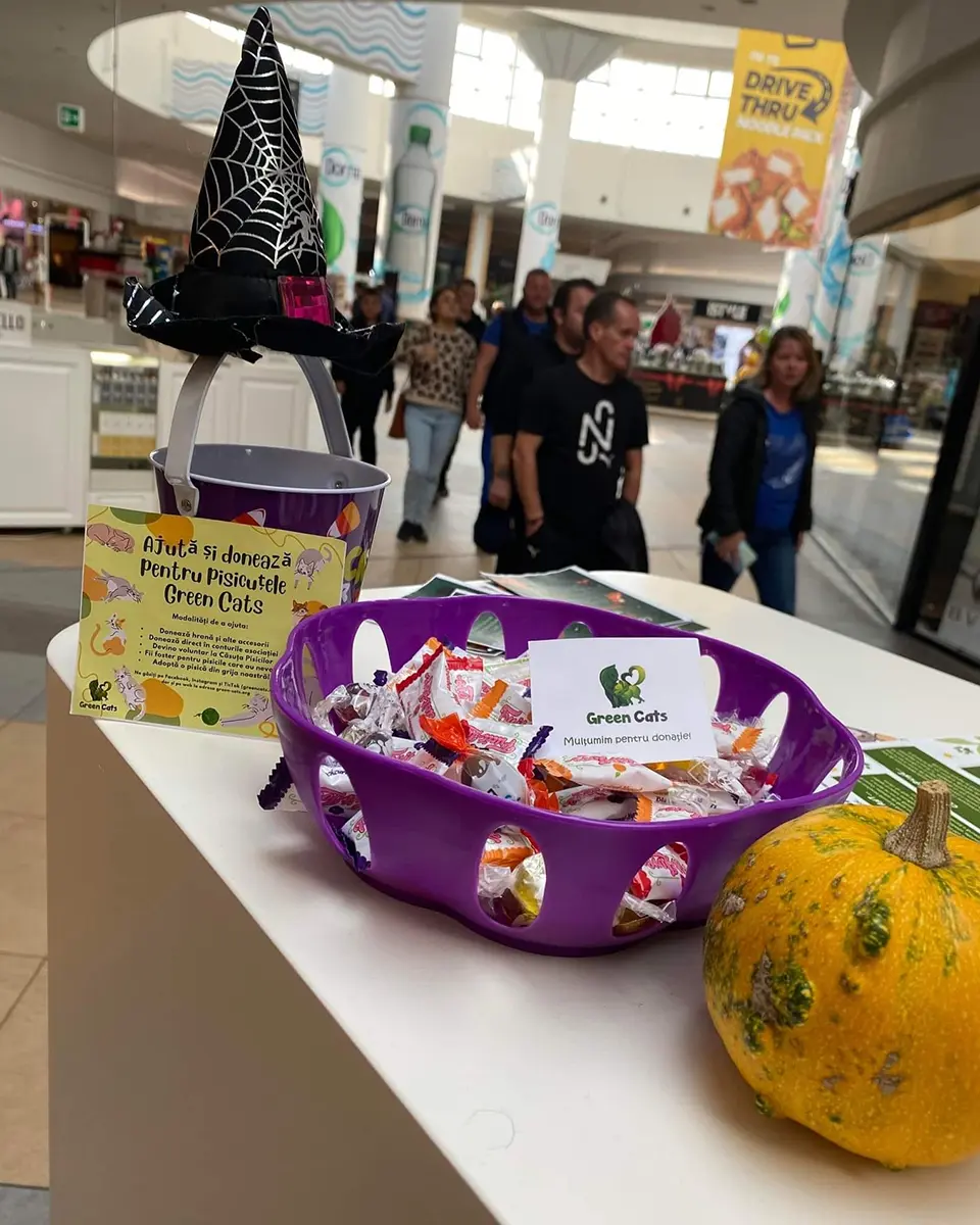 Trick or treat de Halloween pentru Green Cats