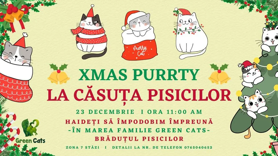 XMAS Purrty la Căsuța Pisicilor