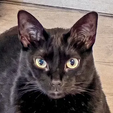 Luna
