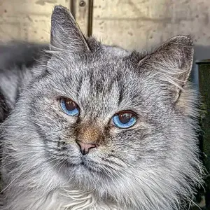 Zoe